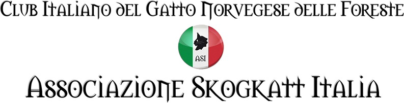 club italiano del gatto norvegese delle foreste